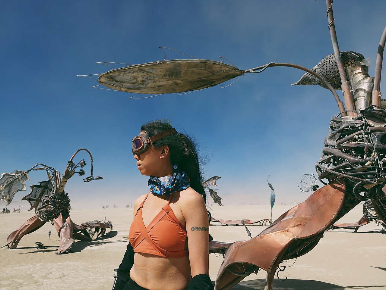 2023 Burning man（图ZMzU0NjE2MjY0） - 人文/纪实摄影 - 站酷设计师勤奋的刘小朵原创素材 - 站酷ZCOOL