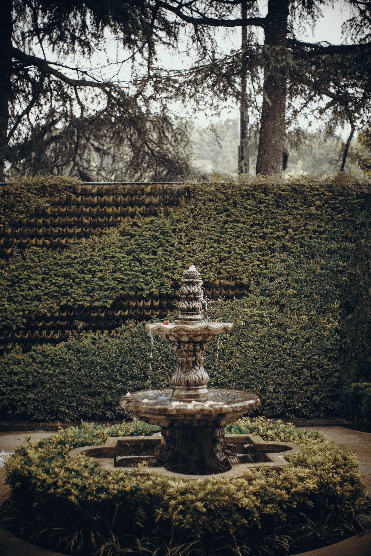 love is all（图ZMzU3NDIxMzIw） - 婚礼摄影 - 站酷设计师三五__原创素材 - 站酷ZCOOL