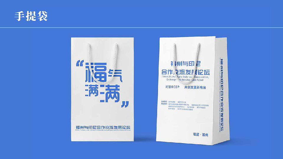 福州与印尼合作交流发展论坛 VIS系统设计 主视觉设计