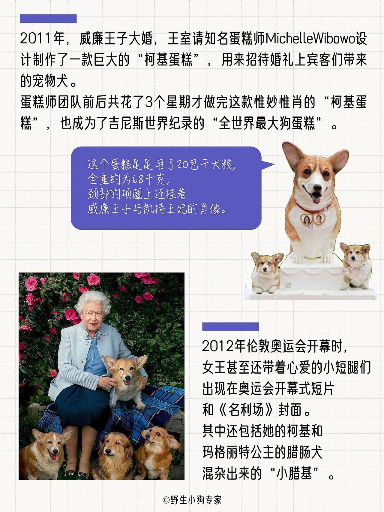 柯基犬小百科：女王与小短腿的故事（图ZMzE3MDc0OTky） - 短篇/格漫 - 站酷设计师北北北辰beichen原创素材 - 站酷ZCOOL