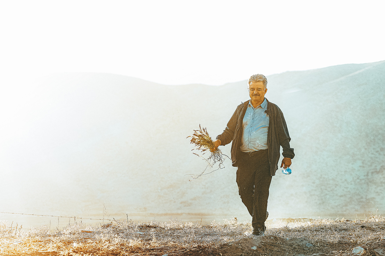 北疆喀纳斯禾木乡之旅（图ZMzE1NTgwNjgw） - 人文/纪实摄影 - 站酷设计师拾光朝圣者原创素材 - 站酷ZCOOL