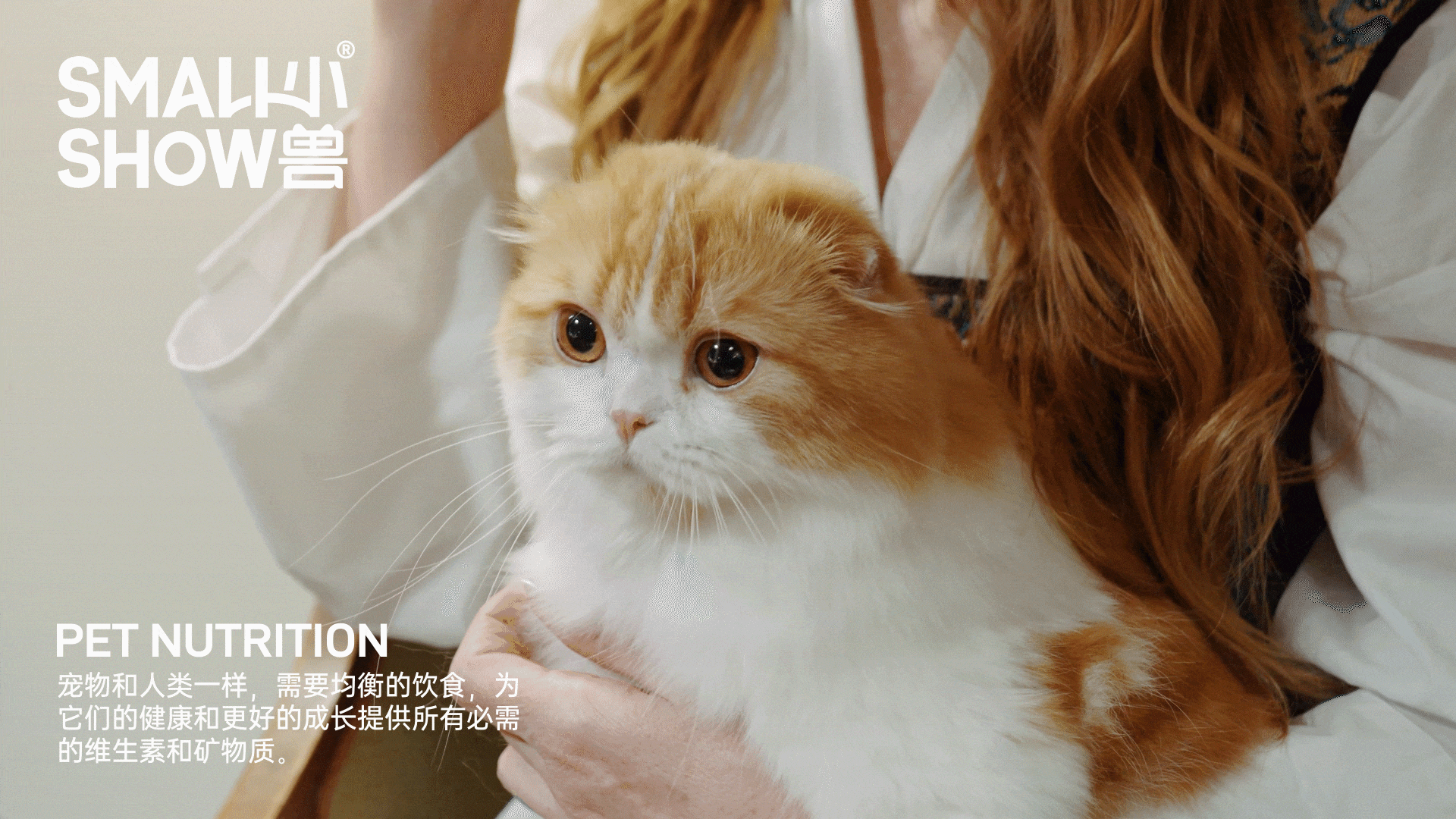 hello，小兽外卖