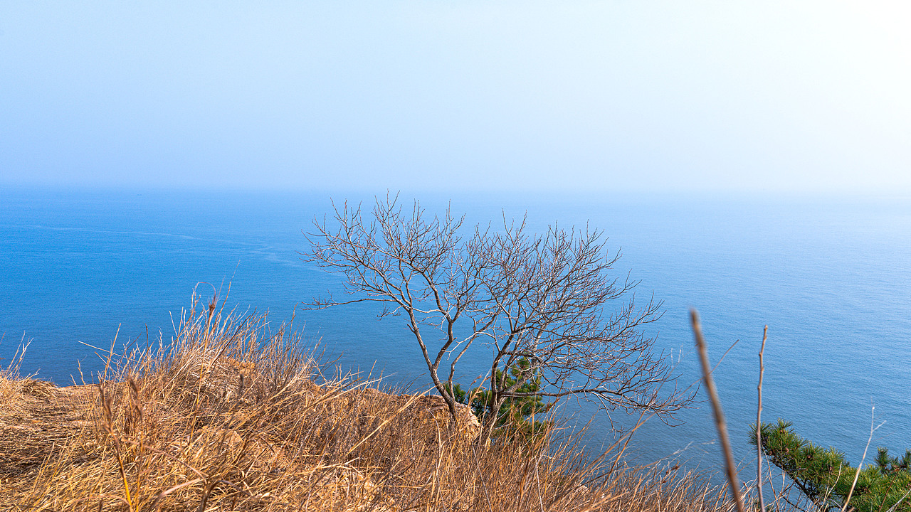 万物有灵×崖边的猫