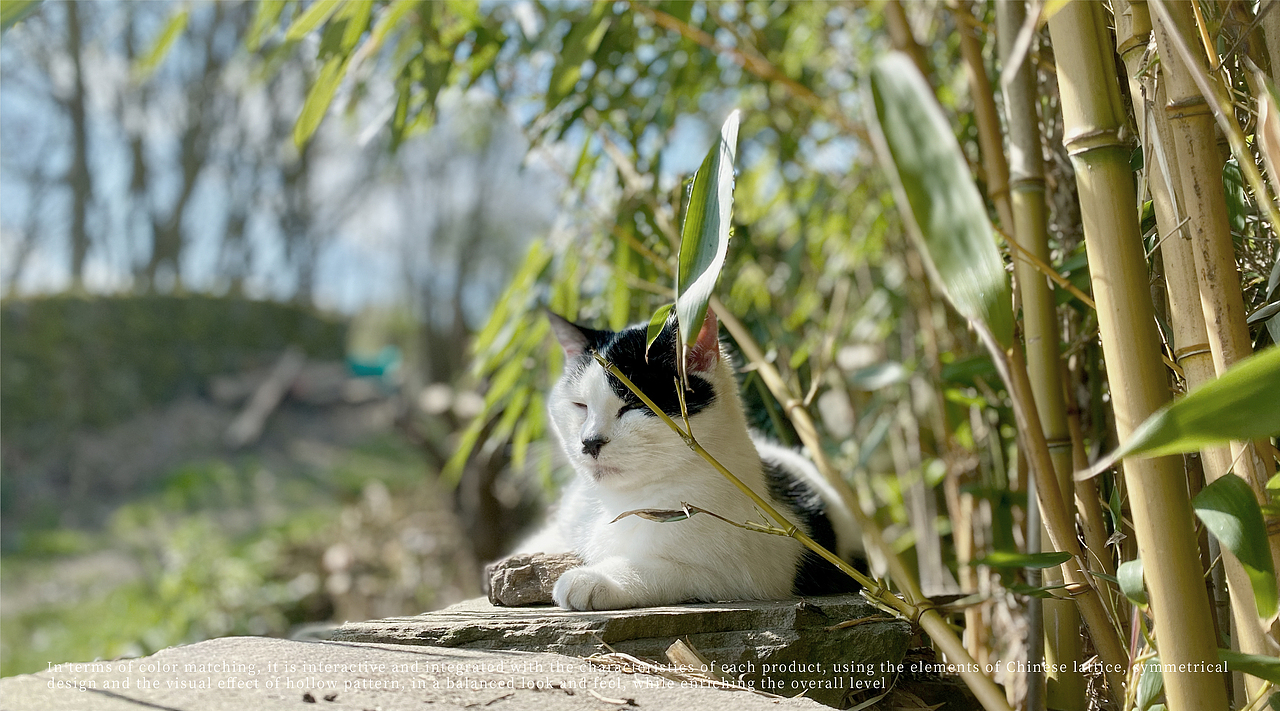 宠艾博士-国茶系列宠物猫砂包装设计(图ZMzI3NjgzNjUy) - 包装 - 站酷设计师滚水BlngPT原创素材 - 站酷ZCOOL