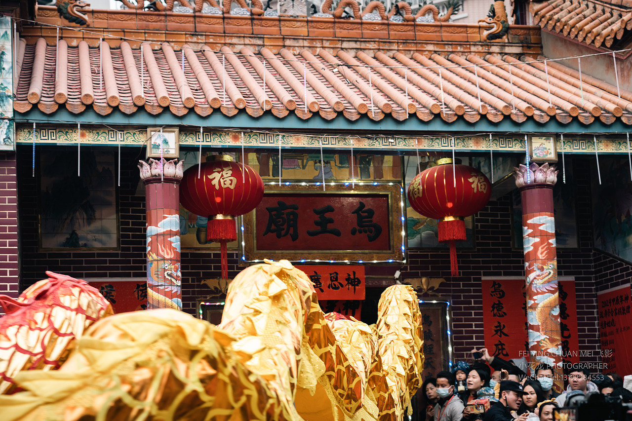 2023湛江百姓村年例活动