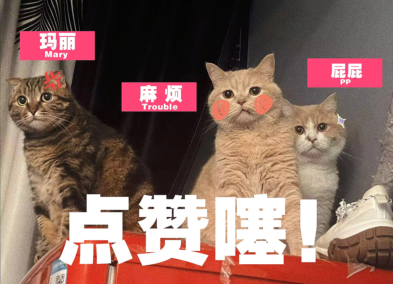 #farewell 2022# 开启新旅程!