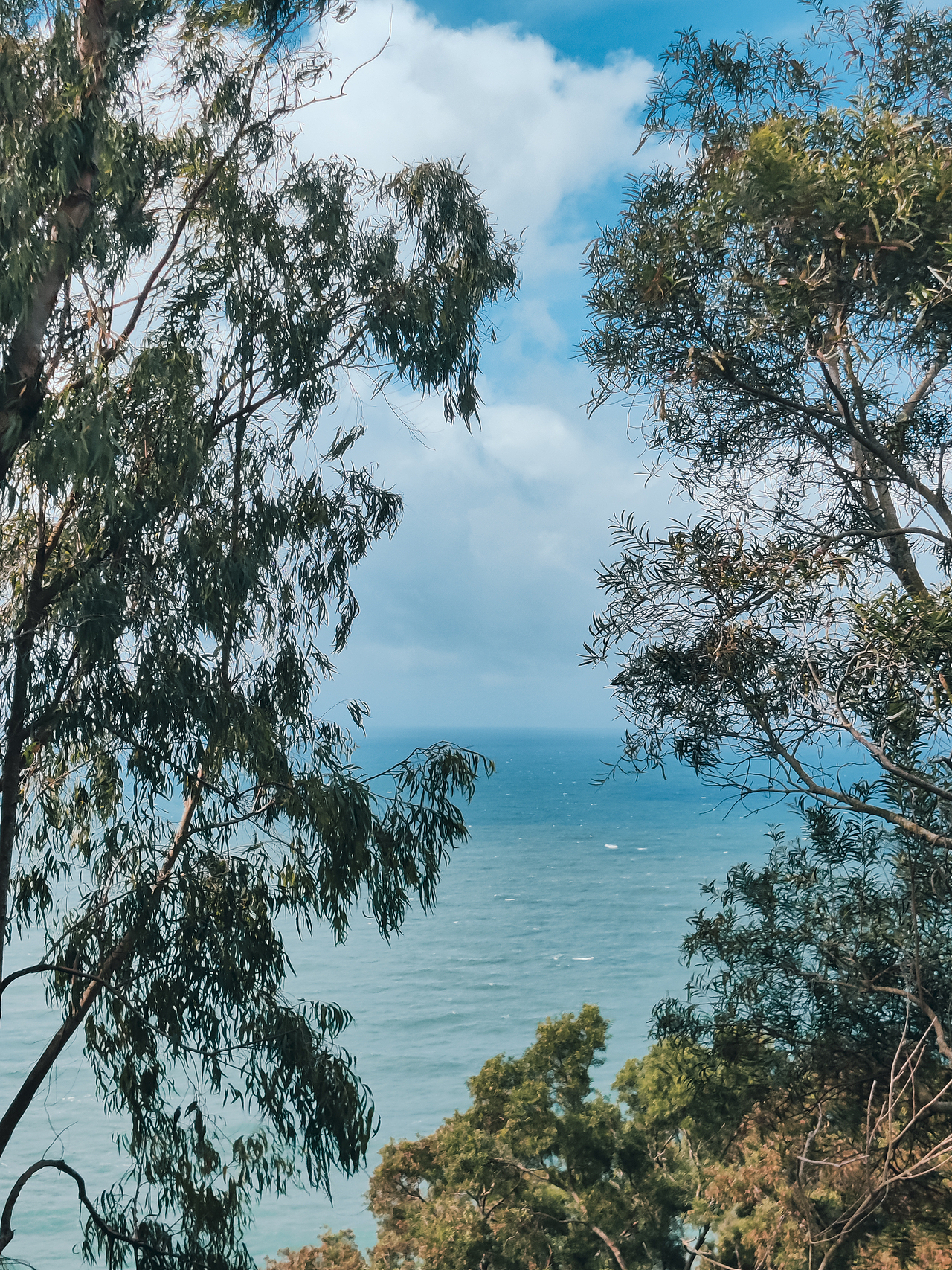 海岛之美 【手机摄影】
