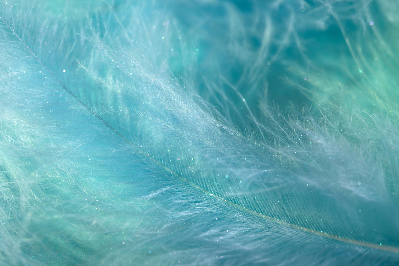 绽影像之《丛林深处》（图ZMzM2NzQzNDQ0） - 时尚/艺术摄影 - 站酷设计师陈绽原创素材 - 站酷ZCOOL