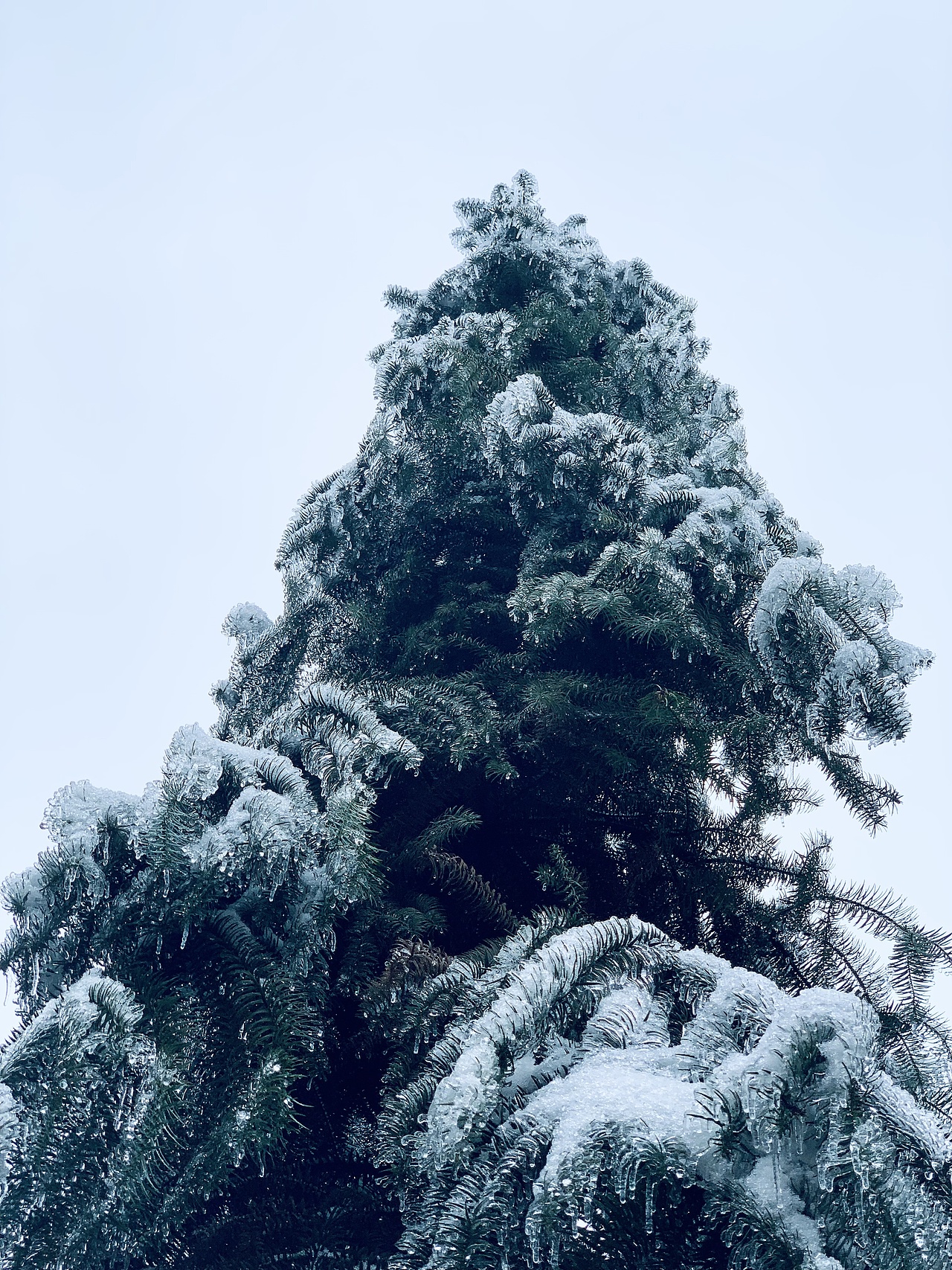 我眼中的冰雪世界（图ZMzI4NjEzNDky） - 风光摄影 - 站酷设计师欧进辉原创素材 - 站酷ZCOOL