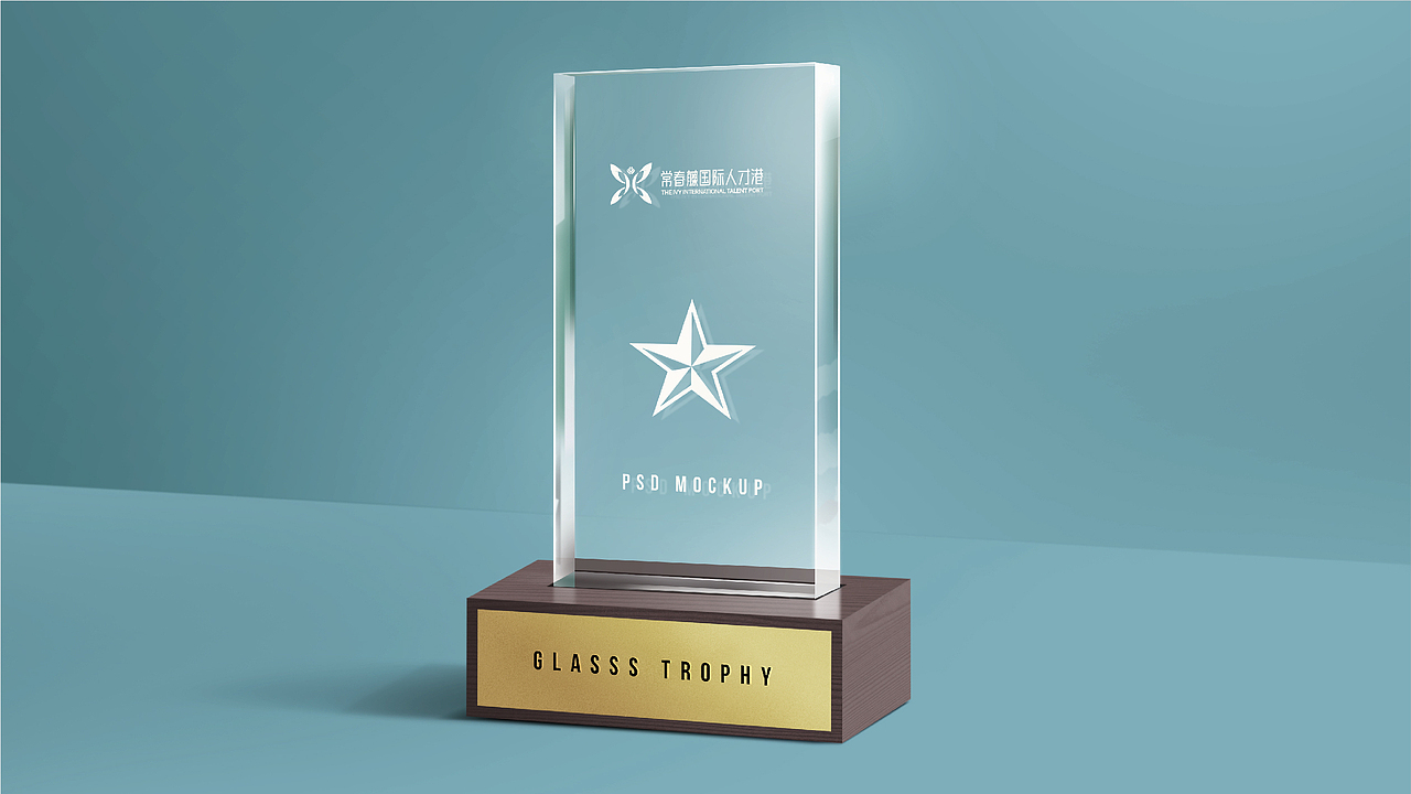 常春藤国际人才港LOGO设计