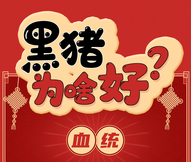 微信公众号长图