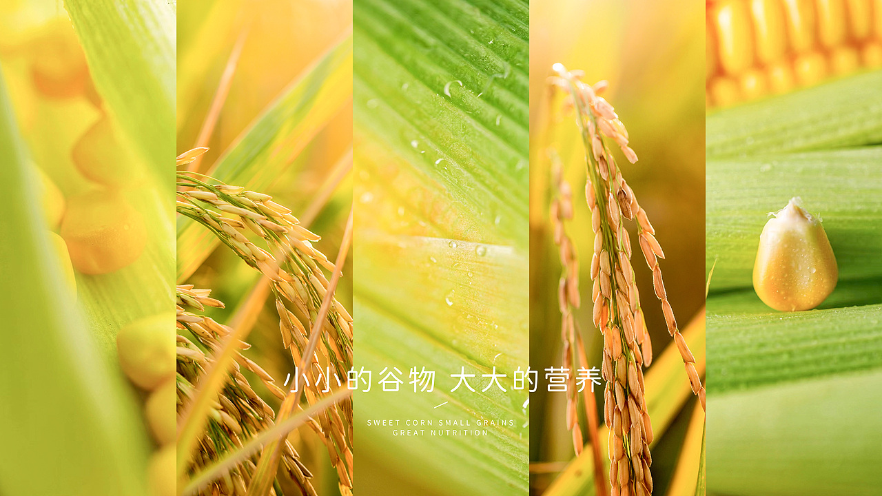 象亚设计X叮咚熊自然谷物健康泡芙