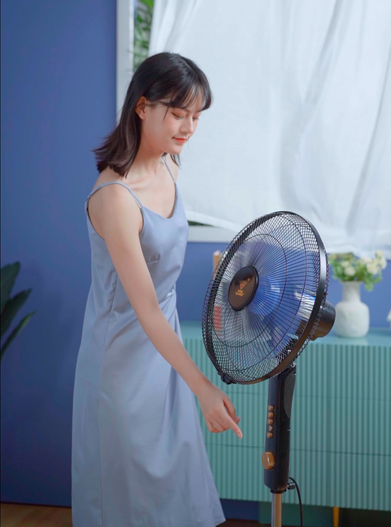 SeekRoots ◉〖两季风扇主图视频策划〗