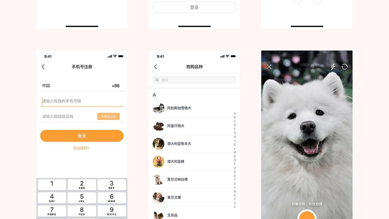 2022年求职作品集