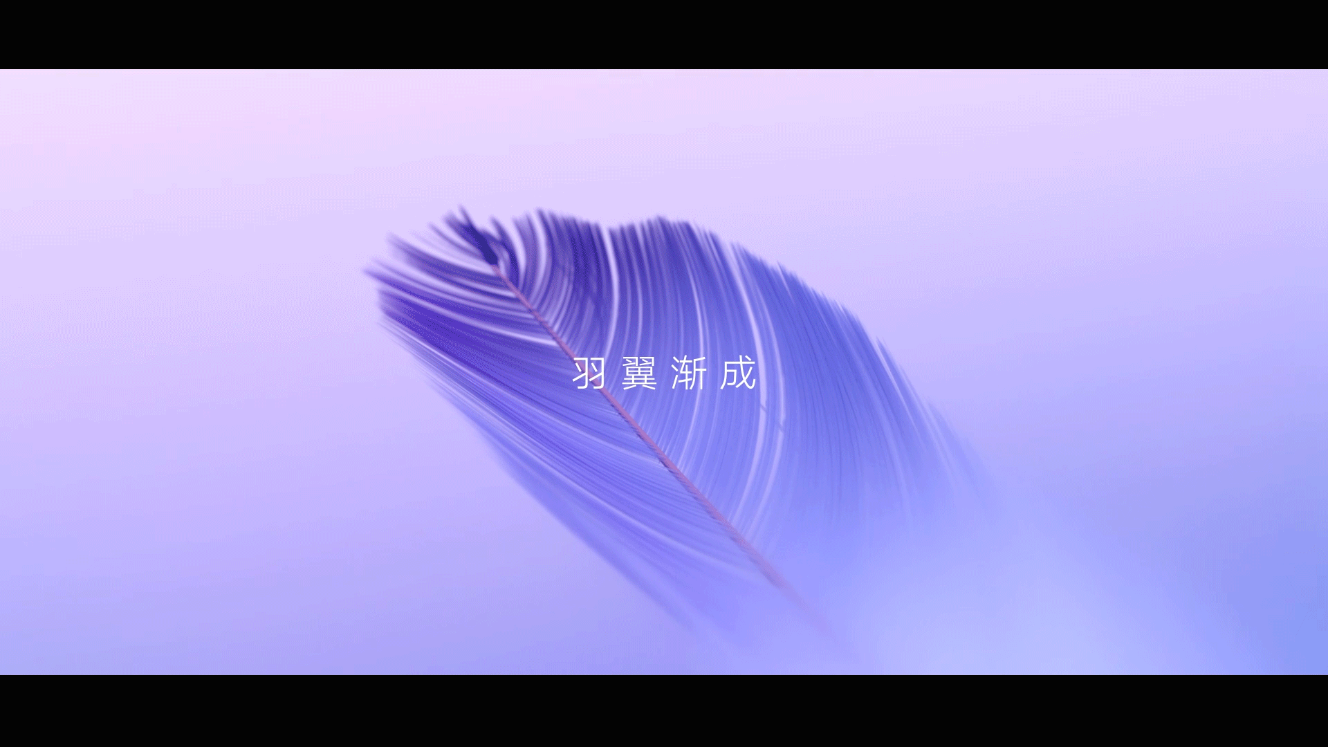 小天鹅空调/广告视频（图ZMzcwOTE5NzA0） - 影视后期 - 站酷设计师李闯成原创素材 - 站酷ZCOOL