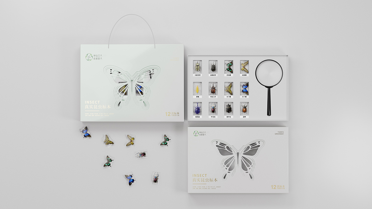 标本-氧化树脂-琥珀