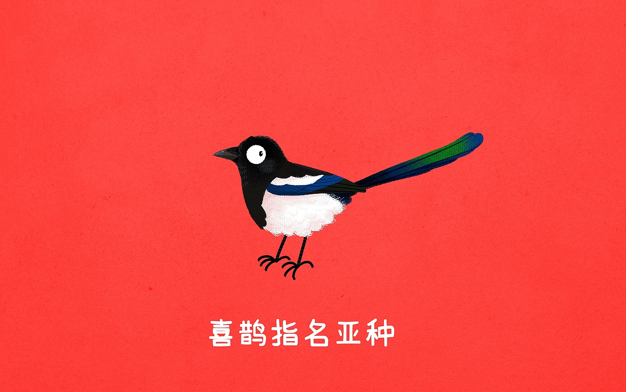 几种不同的“鹊”