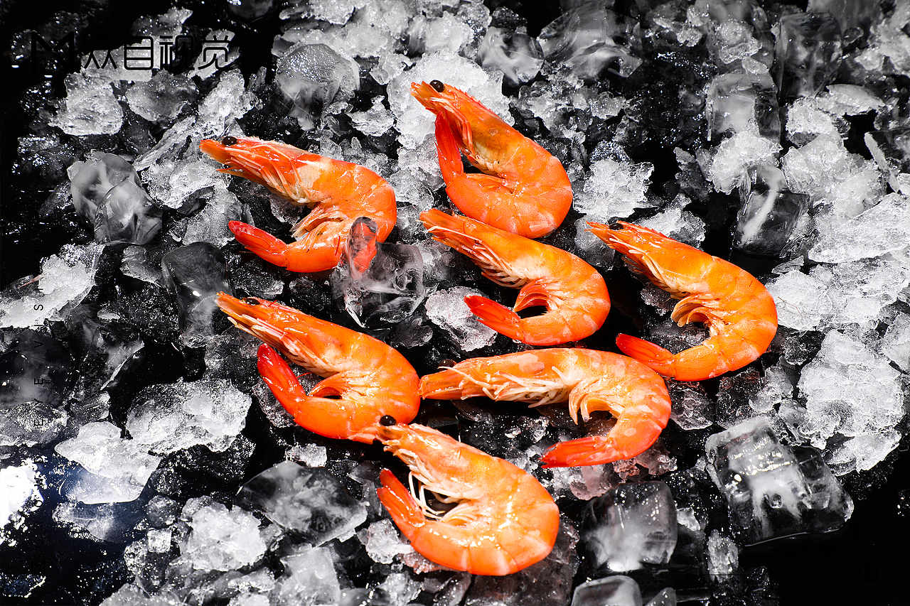 西斧营地烤肉&菜品拍摄 | 美食摄影 x 众目视觉