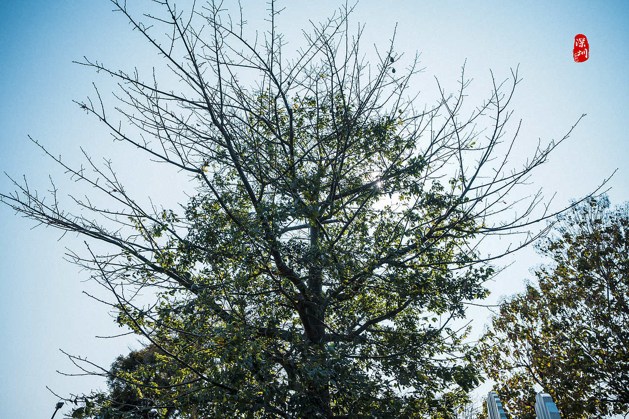 旅行摄影·深圳行(风光篇)