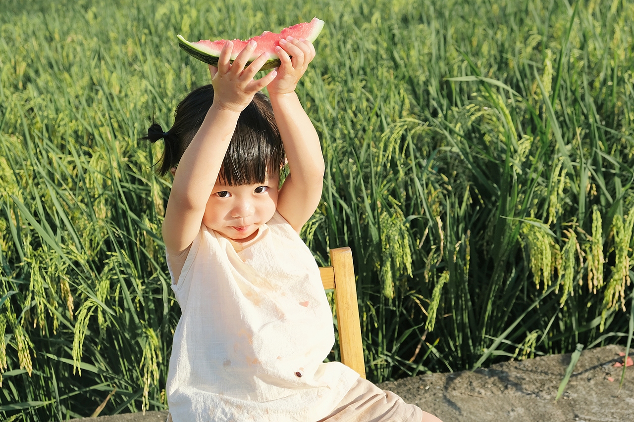 稻田加西瓜，这是你记忆里的夏天吗（图ZMzY3MzgyODcy） - 人像摄影 - 站酷设计师陳丫丫原创素材 - 站酷ZCOOL