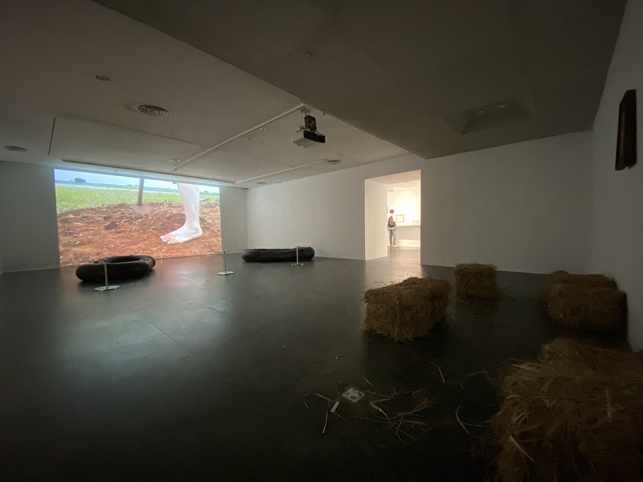 广州-广东美术馆:我的1/3亩田-银坎保的一个计划