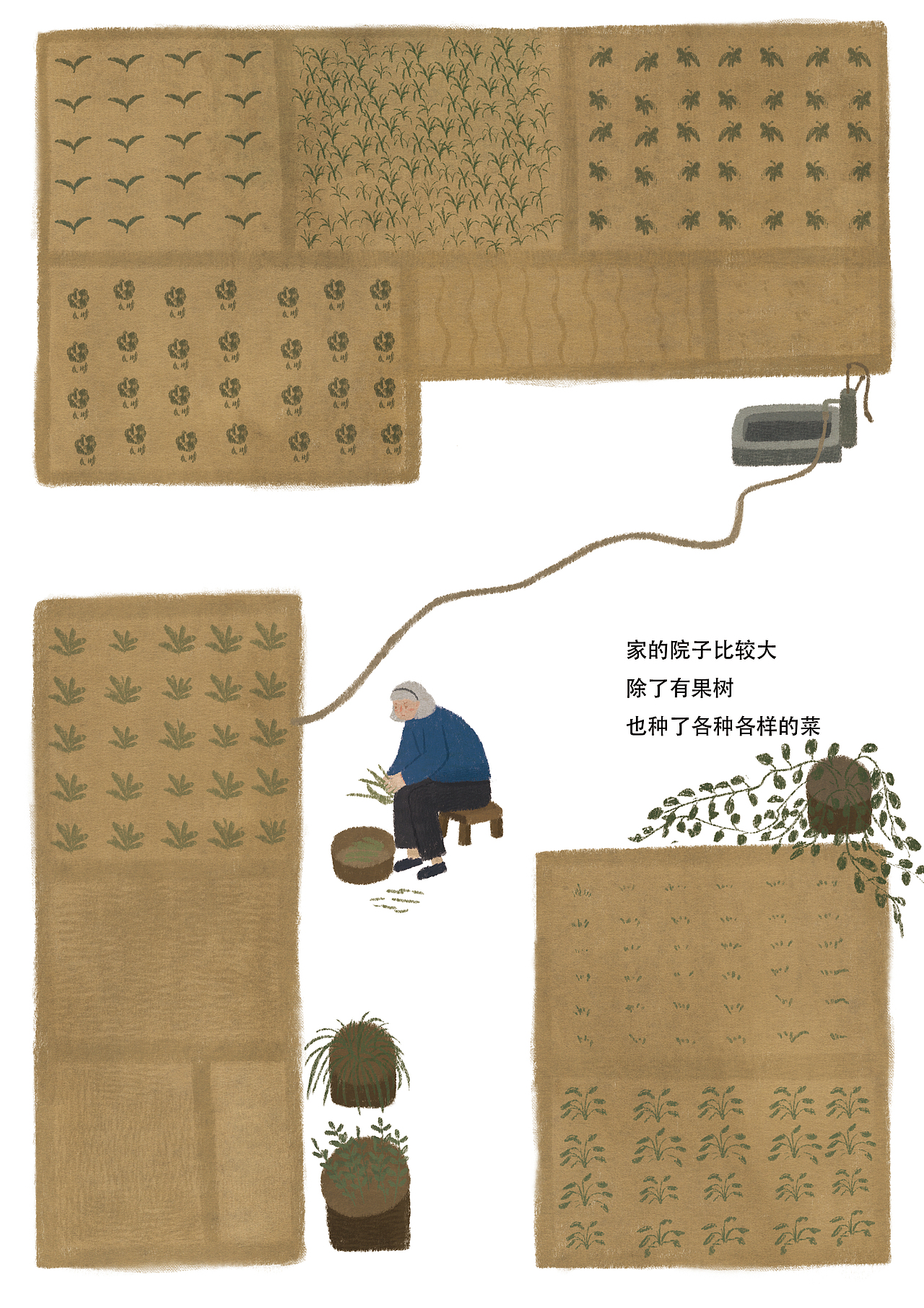 《我的奶奶董秀荣》我的第一本原创绘本来啦