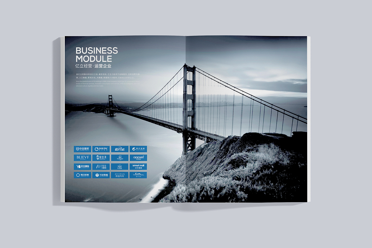 企业画册设计-金融科技