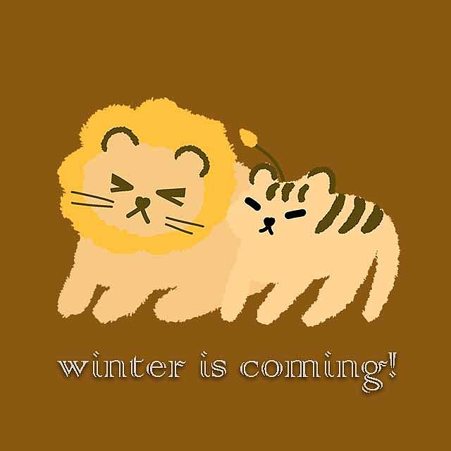 毛绒绒的伙伴们