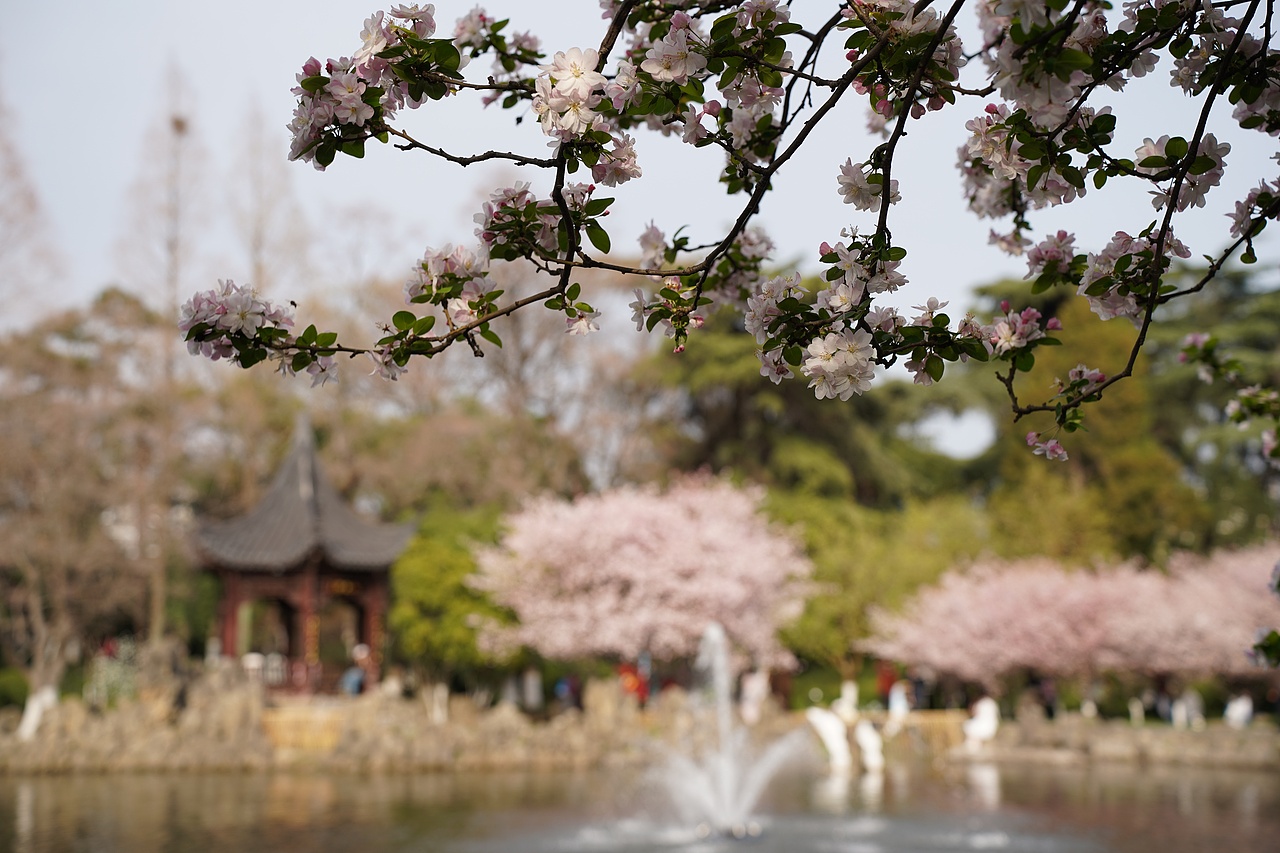 南京莫愁湖公园