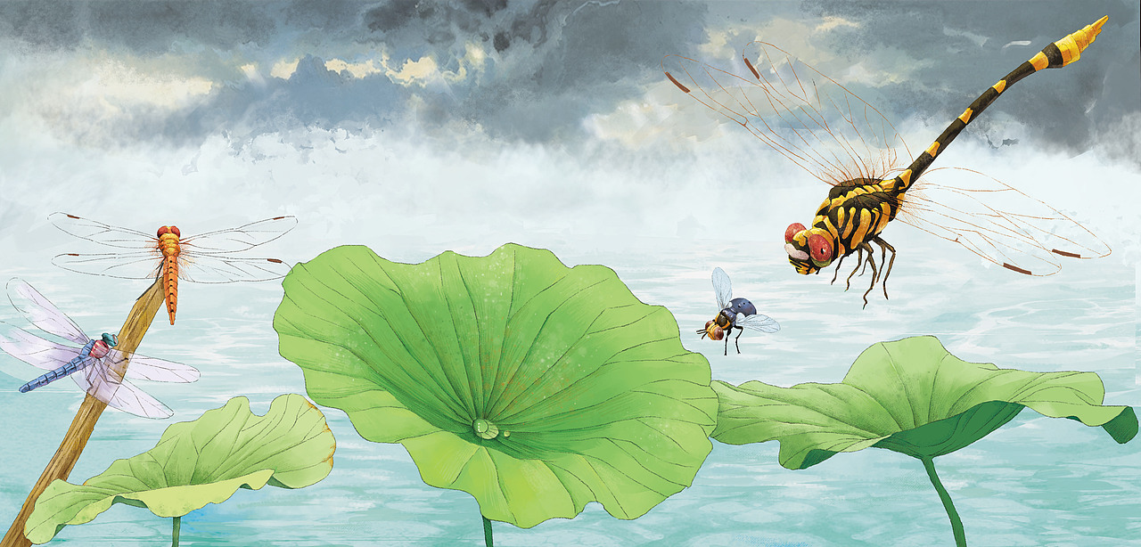 法布尔昆虫记的绘本设计