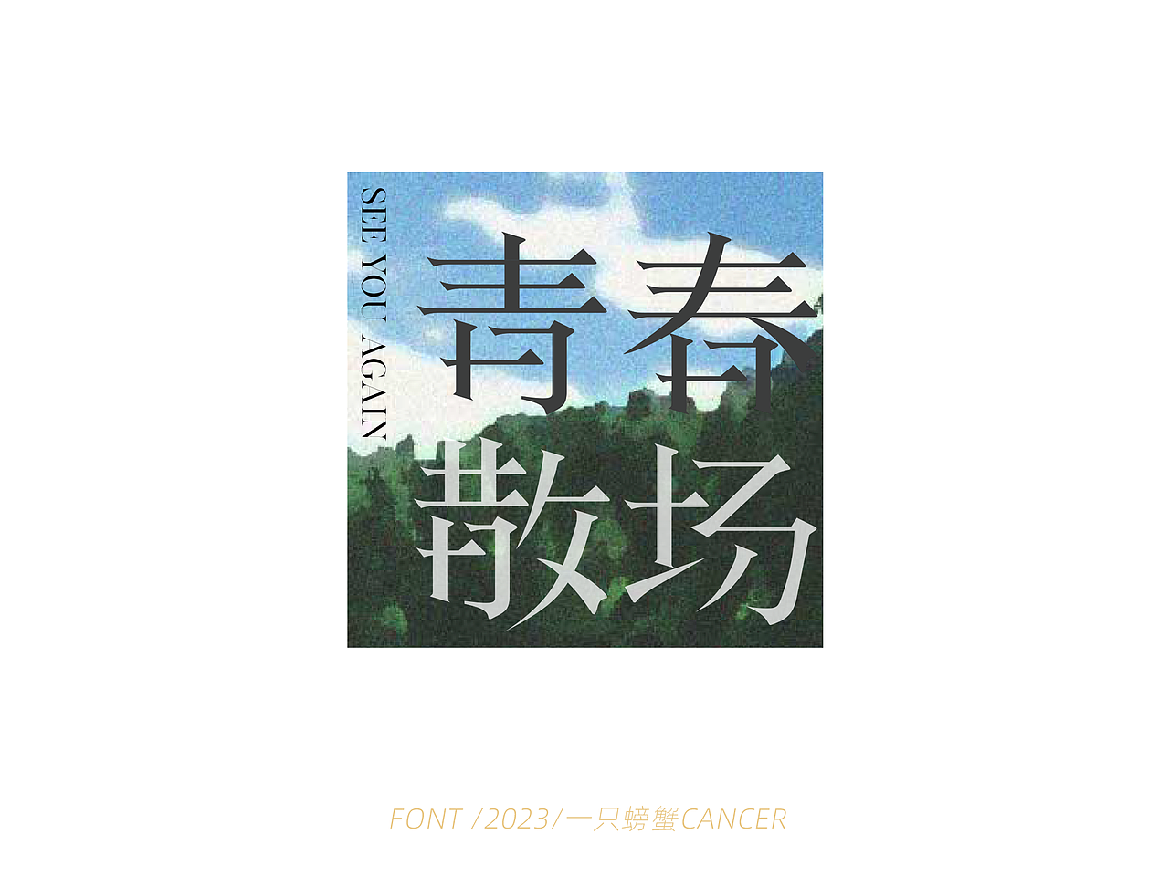 字体设计/书写2023（图ZMzQwMTExNjA4） - 字体/字形 - 站酷设计师一只螃蟹Cancer原创素材 - 站酷ZCOOL
