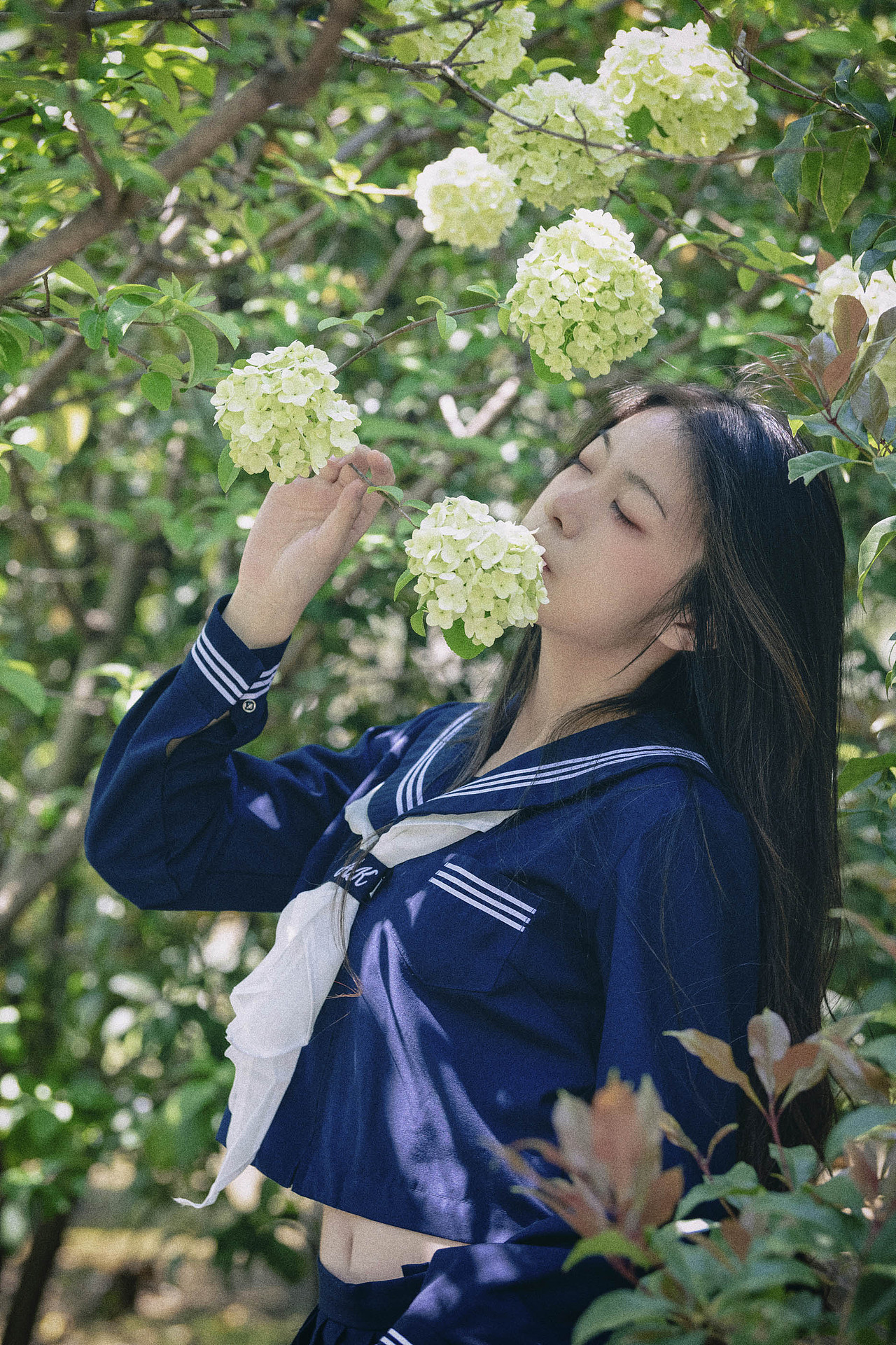 胶片模拟：时光静好，与绣球花为伴