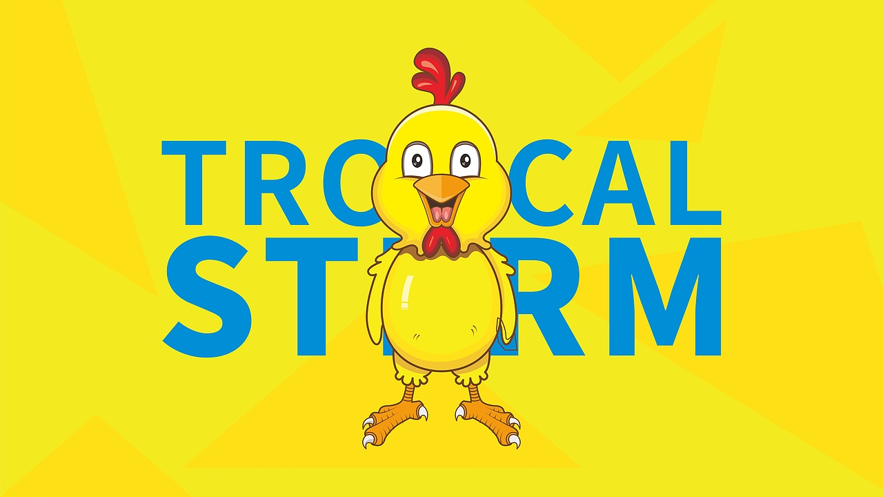 手绘-插画-小鸡（图ZMzIyNjI4NDEy） - IP形象 - 站酷设计师Finnersky原创素材 - 站酷ZCOOL