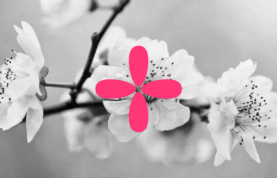 研花润肤--品牌包装（图ZMzY0MDI5NzU2） - 产品 - 站酷设计师素卡品牌设计原创素材 - 站酷ZCOOL