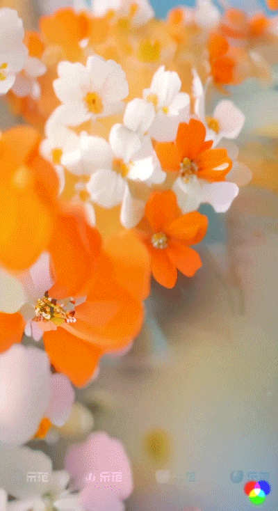 年会主视觉-AI生成