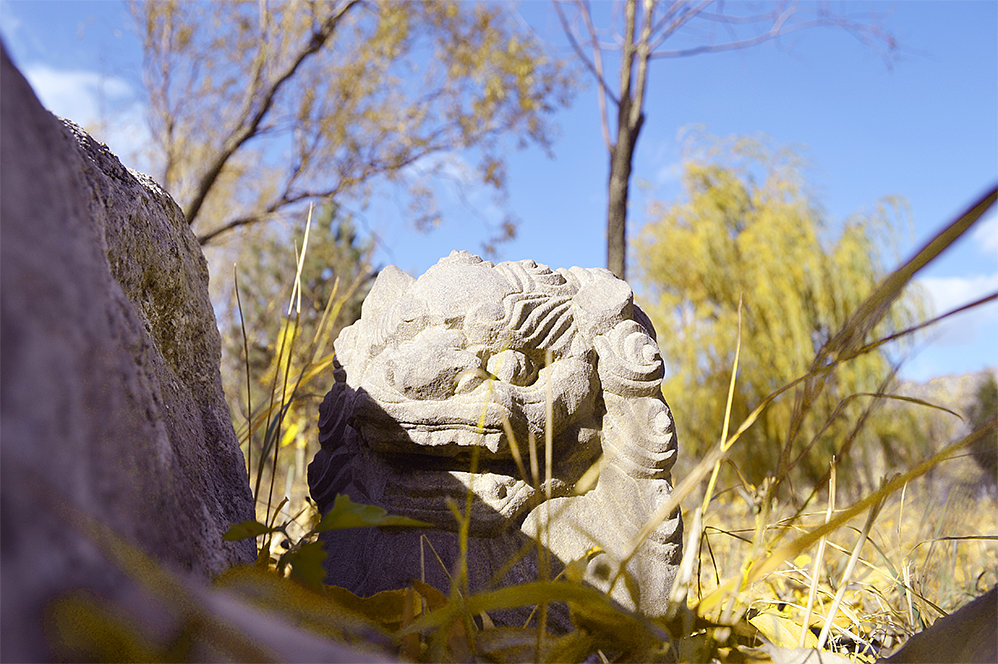 遇見（圖ZMzE0MTAzMDYw） - 風(fēng)光攝影 - 站酷設(shè)計(jì)師陳救駕來遲原創(chuàng)素材 - 站酷ZCOOL