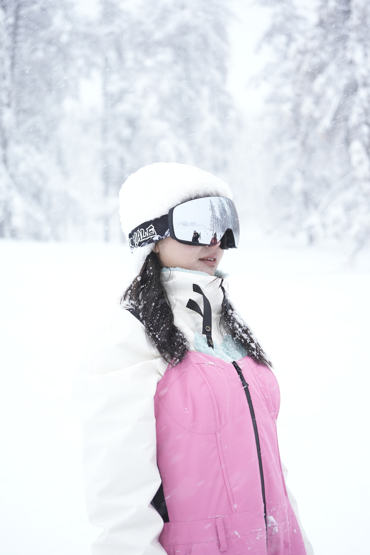 鲸鱼滑雪运动装备