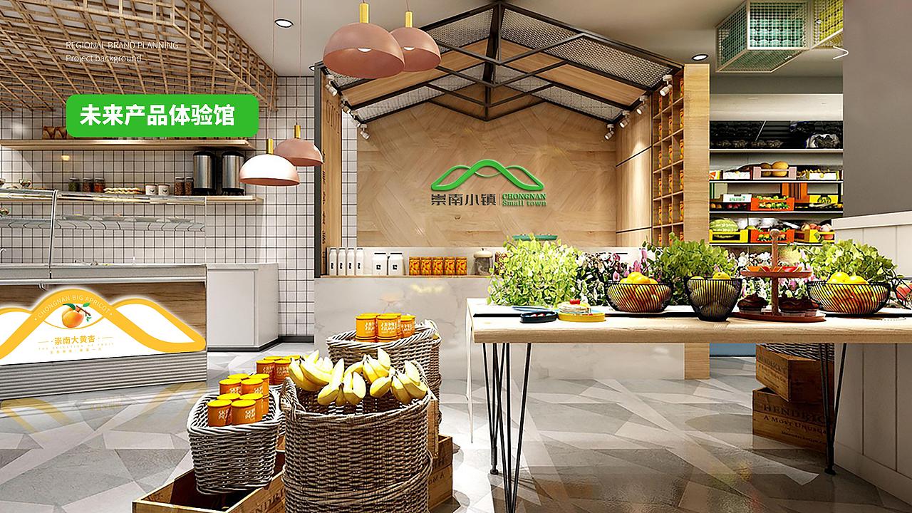 【崇南小镇】区域品牌形象丨全案/文旅/发展战略（图ZMzY5MDM4Nzgw） - 品牌 - 站酷设计师零度艺舍品牌策划原创素材 - 站酷ZCOOL