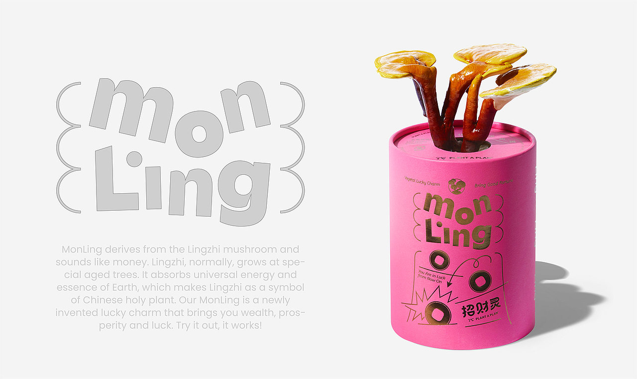 设计分享/招财灵MonLing（图ZMzQ1ODk2OTY0） - 包装 - 站酷设计师BranD杂志原创素材 - 站酷ZCOOL