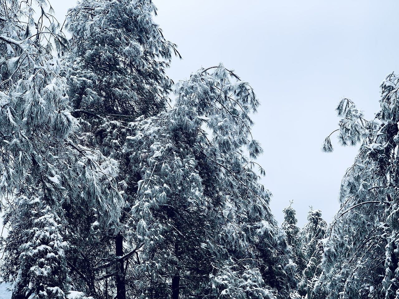 我眼中的冰雪世界（图ZMzI4NjEzNTQw） - 风光摄影 - 站酷设计师欧进辉原创素材 - 站酷ZCOOL