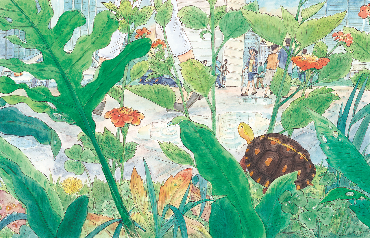 一只乌龟一只猫