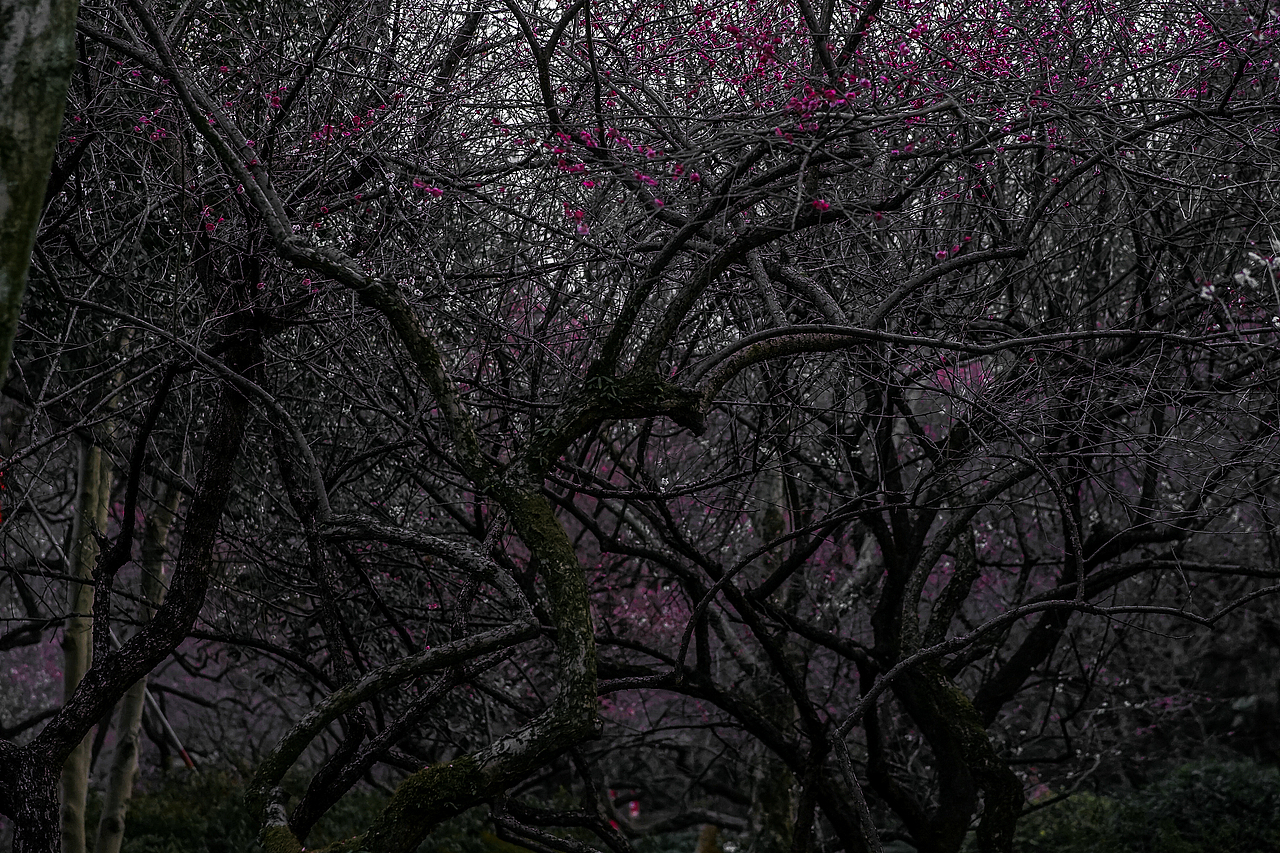 城市风貌系列6（图ZMzYzMTQ2MDA0） - 风光摄影 - 站酷设计师莫潘原创素材 - 站酷ZCOOL