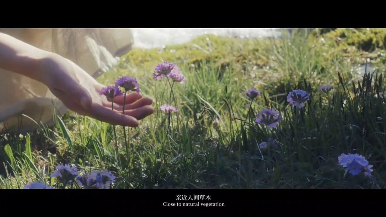 寻光者,一次跨越5000公里的追光之旅