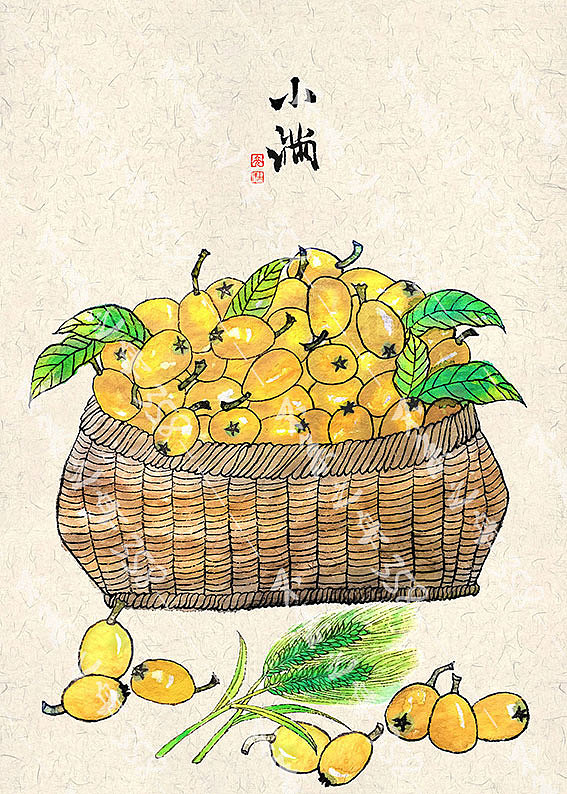 二十四节气--夏季篇（图ZMzAwMDU2MTgw） - 商业插画 - 站酷设计师夜不白358原创素材 - 站酷ZCOOL