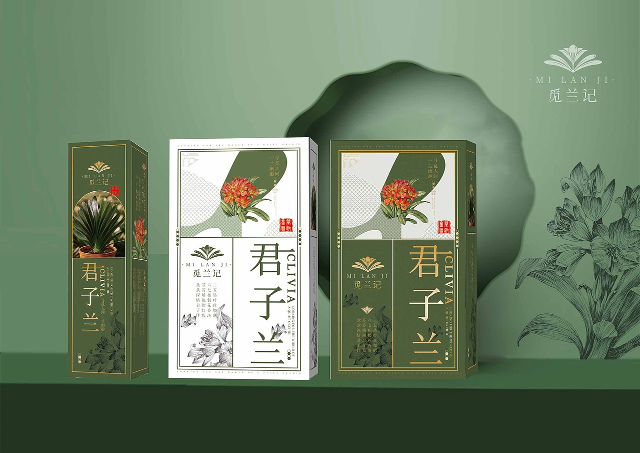 【霈约文化】觅兰记·君子兰品牌logo视觉