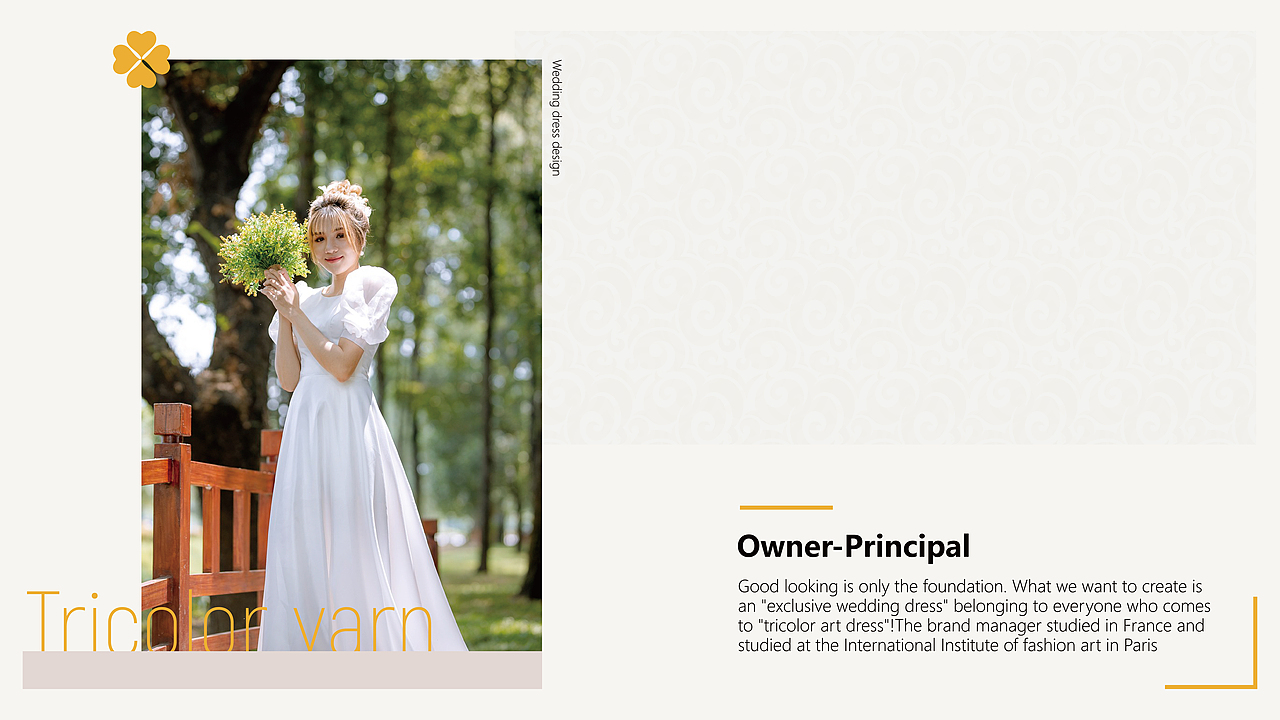 三彩艺纱——婚纱品牌设计项目