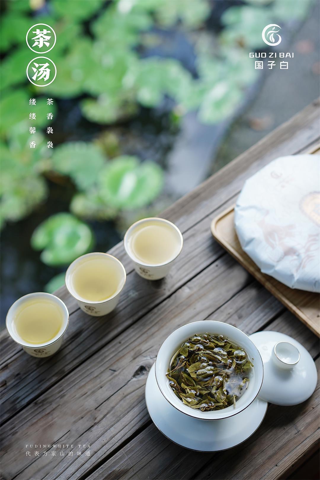 客片分享 ————福鼎白茶产品摄影