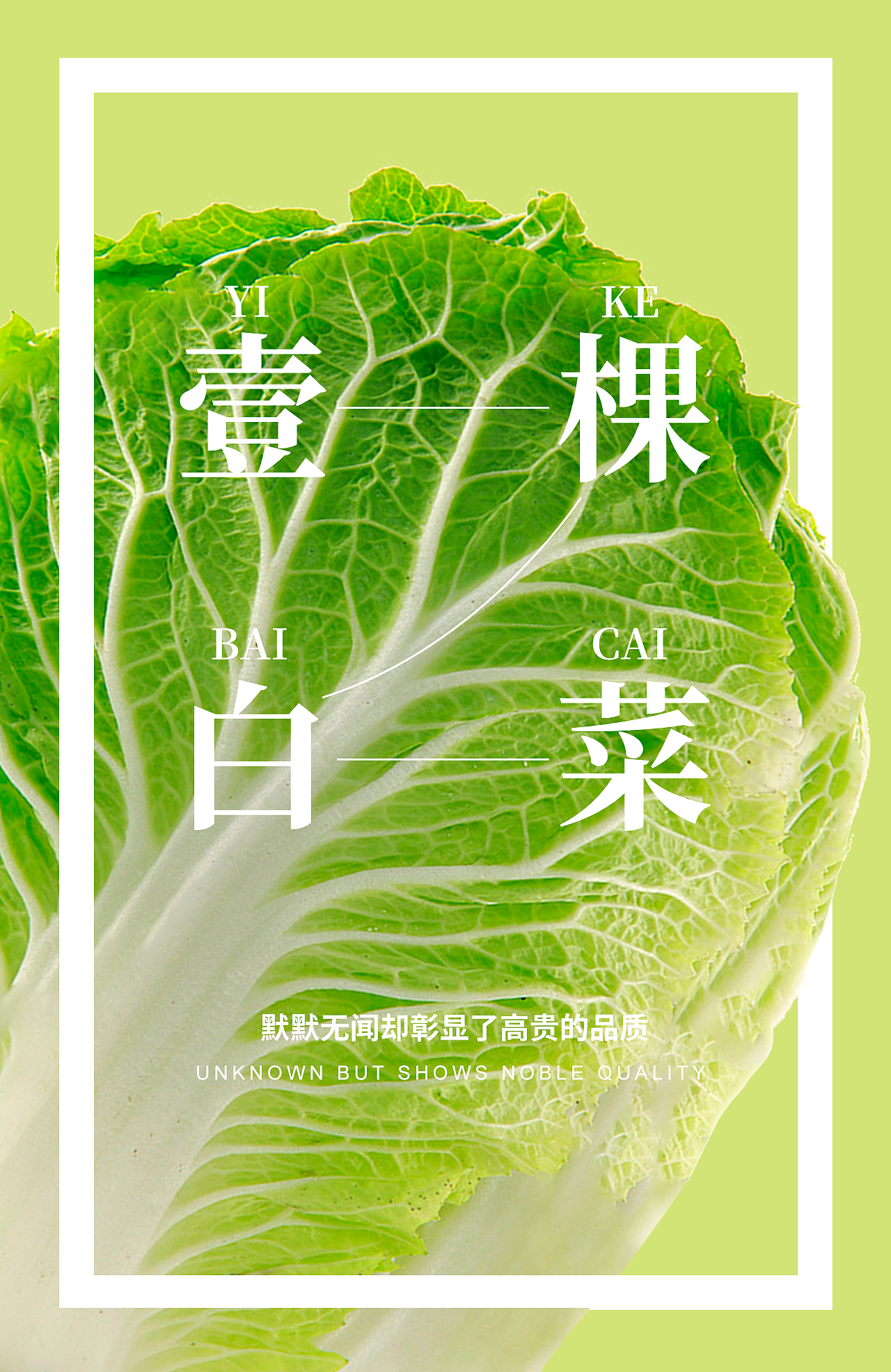 一棵白菜的命运变化（图ZMzEyMjA5ODQw） - 海报 - 站酷设计师安奕天原创素材 - 站酷ZCOOL