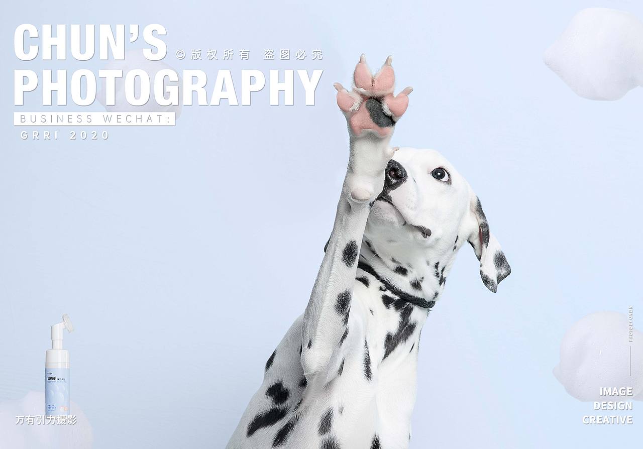 宠物用品拍摄 | 猫咪洗护  洁足泡泡 x 万有引力摄影