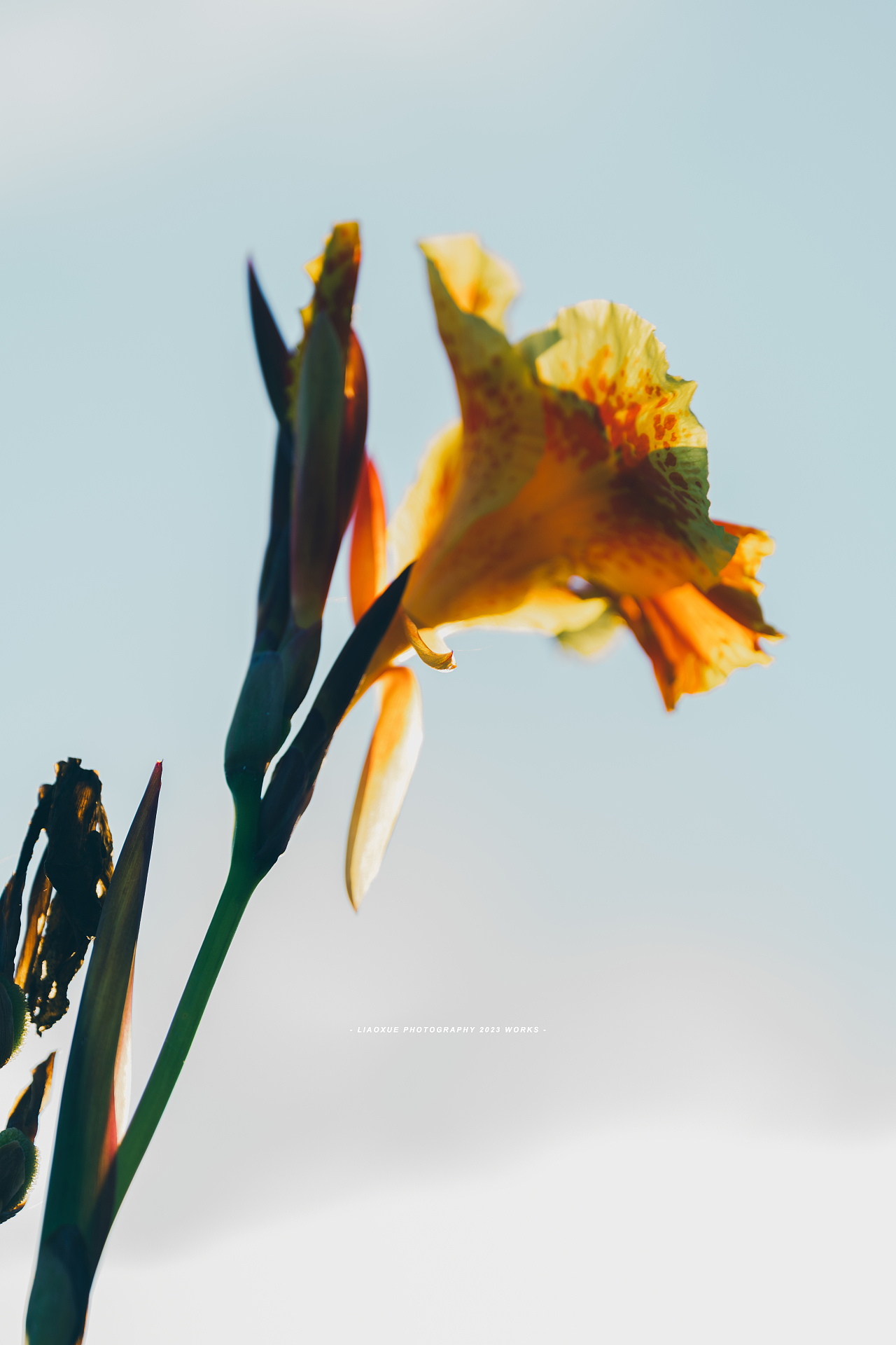 旅行摄影流水帐|镜头里的秋（图ZMzUzMDI5MjEy） - 人文/纪实摄影 - 站酷设计师雪小廖原创素材 - 站酷ZCOOL